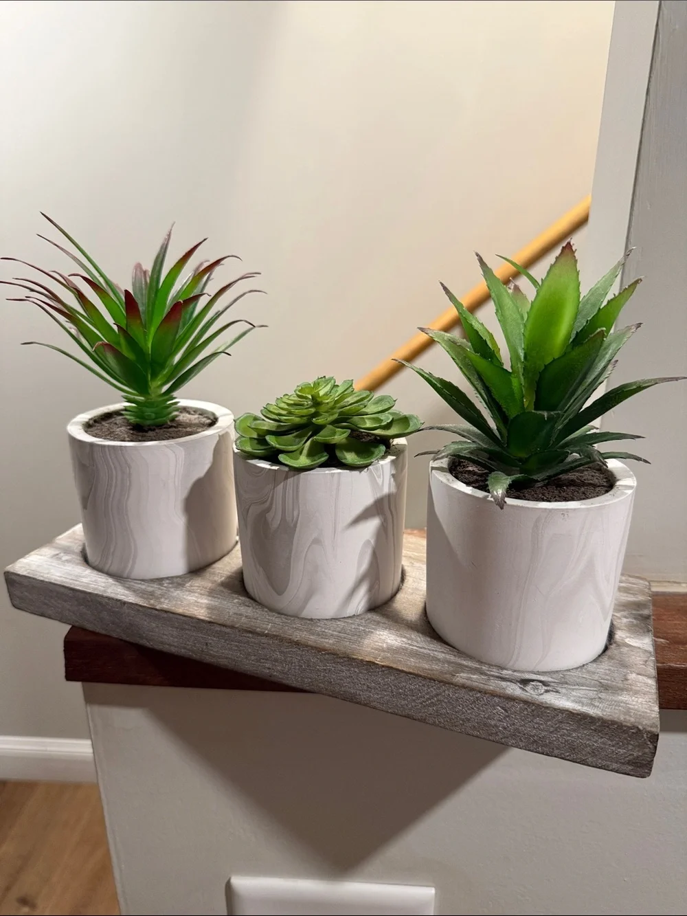 NWT Homegoods faux Succulent Trio in White Marble Pots - Home Accents